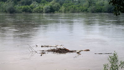Ostatnia duża fala przez Wisłę przeszła pod koniec maja ubiegłego roku. Wtedy w kulminacyjnym momencie wodowskaz w Puławach pokazał głębokość 6,5 metra. Tegoroczna fala ma być o metr niższa