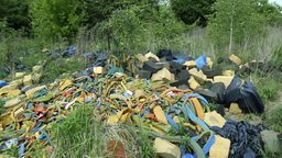 Ścinki gąbek zalegają na działce w rejonie ul. Palmowej i Wrzosowej