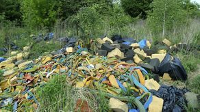 Ścinki gąbek zalegają na działce w rejonie ul. Palmowej i Wrzosowej