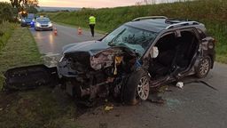 Chciał uniknąć zderzenia ze zwierzęciem. Zamiast tego wjechał w drzewo