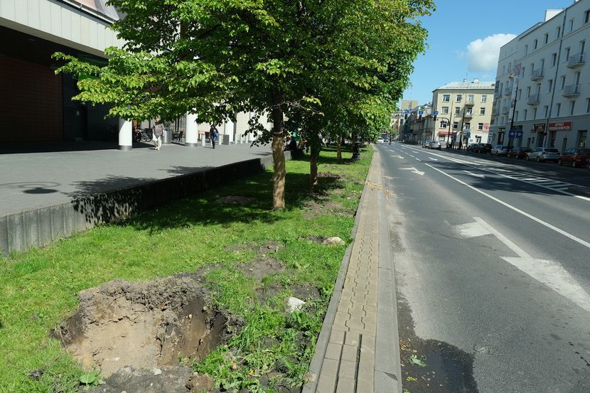 Z ul. Lipowej przesadzone zostaną tylko cztery drzewa rosnące przed Lublin Plaza w miejscu planowanego dodatkowego pasa. Nowy pas zacznie się dalej