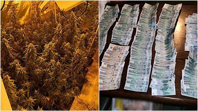 Lubelskie służby razem z CBŚP uderzyły w przestępczość narkotykową. Przejęto 8 kg amfetaminy wartej ok. 4 mln zł