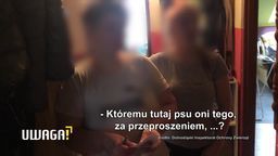 Do maltretowania zwierząt dochodziło w jednym z domów w Wałbrzychu