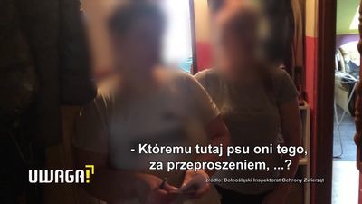 Do maltretowania zwierząt dochodziło w jednym z domów w Wałbrzychu