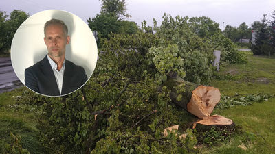 Ręce opadają – konary również. Komentarz redaktora naczelnego