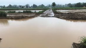 Na odcinku przyszłej S19 między Niedrzwicą Dużą a Kraśnikiem trwają prace budowlane. Po ostatnich intensywnych opadach deszczu, pojawiła się woda na budowanej drodze dojazdowej w Obrokach