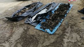 Przez cały weekend w Tarnogrodzie trwały prace przy wydobywaniu ludzkich szczątków