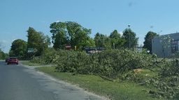 Z drogi z Chełma do Kamienia w wyniku budowy 8 kilometrów ścieżki rowerowej zniknie 180 drzew. Wycinka właśnie trwa