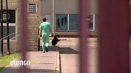 Czy można było uratować pielęgniarkę chorą na COVID-19? Zabrała ją karetka bez lekarza