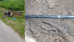 To dlatego zwykły znak drogowy był pod napięciem i poraził psa