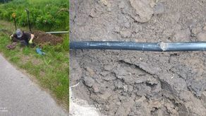 To dlatego zwykły znak drogowy był pod napięciem i poraził psa