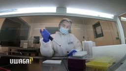 Uwaga! TVN: Testy na koronawirusa. Które są najbardziej wiarygodne?