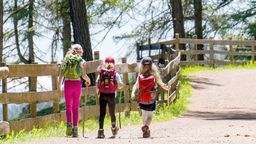 Zdjęcie ilustracyjne