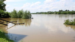 Wisła w Puławach 25 czerwca