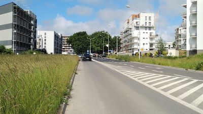 Lublin: Czy uda się uniknąć wycinki drzew? "Budowa tego fragmentu drogi jest kluczowa"