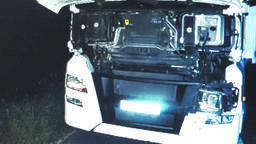 Wpadka z licznikiem po zderzeniu z łosiami