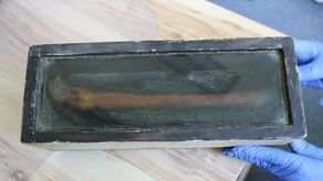 Nietypowe znalezisko na strychu ZSE im. Vetterów w Lublinie. Czy to ludzka kość?