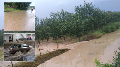 Niedzielne ulewy i burze nad woj. lubelskim. Zalane drogi i pola [zdjęcia]