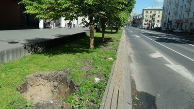 Miejsce po przesadzonym drzewie przy ul. Lipowej