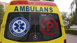 24-latek z gm. Dorohusk chciał pogłaskać sarnę. Zabrała go karetka