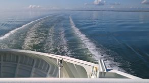 Koronawirus na pokładzie promu ze Szwecji. Zamojski sanepid szuka pasażerów