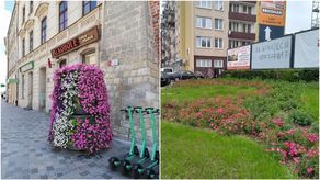 Lublin: Zniknęły rośliny z kolejnych ulicznych rabatek