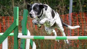 Zdjęcie ilustracyjne