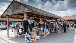 Zdjęcie ilustracyjne (Garażówka Biłgorajska, październik 2019) 