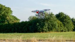 Strażacy z Zamościa czegoś takiego z drzewa jeszcze nie ściągali