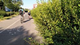 Tak wyglądała wczoraj droga rowerowa wzdłuż ul. Jana Pawła II. – Również ona zostanie oczyszczona z roślinności – deklaruje Urząd Miasta