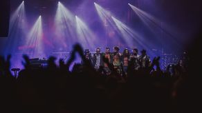 Łąki Łan 2019 Stary Maneż