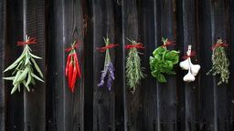 Przeboje polskiej kuchni, czyli schabowy, rosół i zrazy