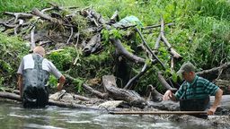 Sprzątają sterty odpadów z Bystrzycy. Jest ich tak dużo, że nie można przepłynąć kajakiem
