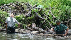 Sprzątają sterty odpadów z Bystrzycy. Jest ich tak dużo, że nie można przepłynąć kajakiem