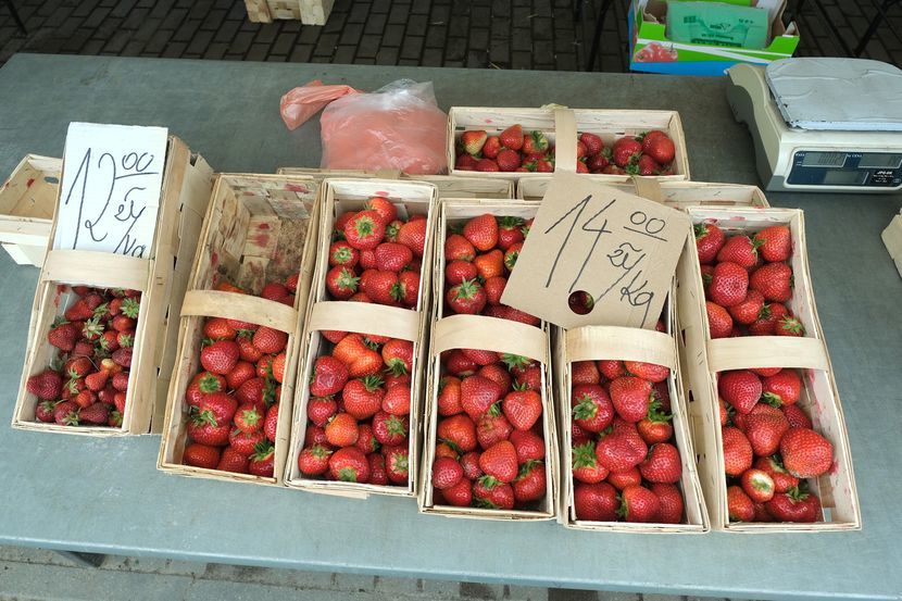 Tyle na początku czerwca kosztowały truskawki na targu w Lublinie. Potem ceny spadły do 5 zł. Skupy płaciły rolnikom znacznie mniej – nawet 1,4 zł za kilogram
