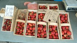 Tyle na początku czerwca kosztowały truskawki na targu w Lublinie. Potem ceny spadły do 5 zł. Skupy płaciły rolnikom znacznie mniej – nawet 1,4 zł za kilogram