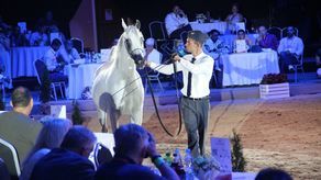 Janów Podlaski. Rekordowa liczba koni i nagród w czempionacie. Ale są też ograniczenia 