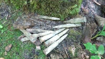 Lubelskie. Poszli na grzyby, a potem musieli przyjechać saperzy