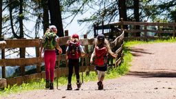 Kolonie droższe, chętnych często brak. Nie wszyscy organizatorzy wypoczynku narzekają