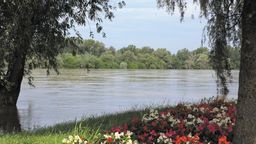 W tym roku komarów ma być wyjątkowo dużo. Dlatego władze miasta chcą przekonać innych właścicieli terenów do włączenia się w odkomarzanie. Dzięki temu ilość powierzchni Puław objętych opryskami mogłaby być znacznie większa, niż obecne 10 proc. Na zdjęciu: puławski bulwar