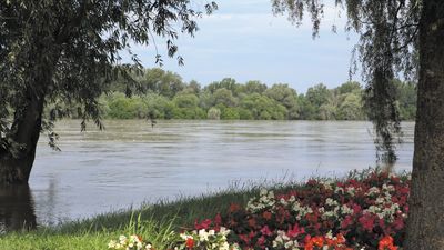 W tym roku komarów ma być wyjątkowo dużo. Dlatego władze miasta chcą przekonać innych właścicieli terenów do włączenia się w odkomarzanie. Dzięki temu ilość powierzchni Puław objętych opryskami mogłaby być znacznie większa, niż obecne 10 proc. Na zdjęciu: puławski bulwar