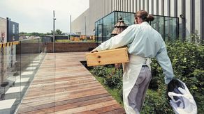 Miejska Pasieka Artystyczna na dachu budynku przy Placu Teatralnym 1 w Lublinie