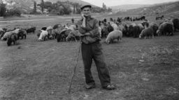 Wystawa "Wieczność narodziła się na wsi" w Zaułku Hartwigów