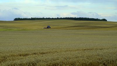 Zamość. Rynek Wielki