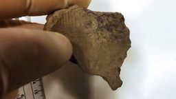 Lubelskie: Nietypowy przemyt zatrzymany na granicy z Ukrainą [zdjęcia]