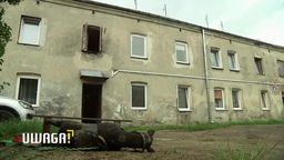 31-latka zastrzelona przez policjanta. "Była w jakimś amoku"