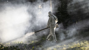 Środowe opryski w Ogrodzie Saskim