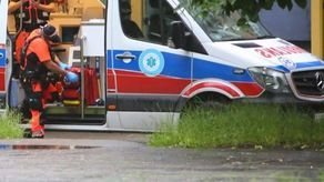 Chłopiec już tracił przytomność. Owad ukąsił go w okolicach gardła