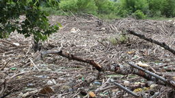 Tak teraz wygląda Wisła