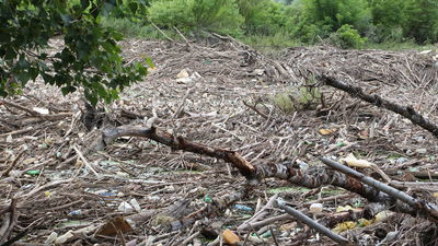 Tak teraz wygląda Wisła